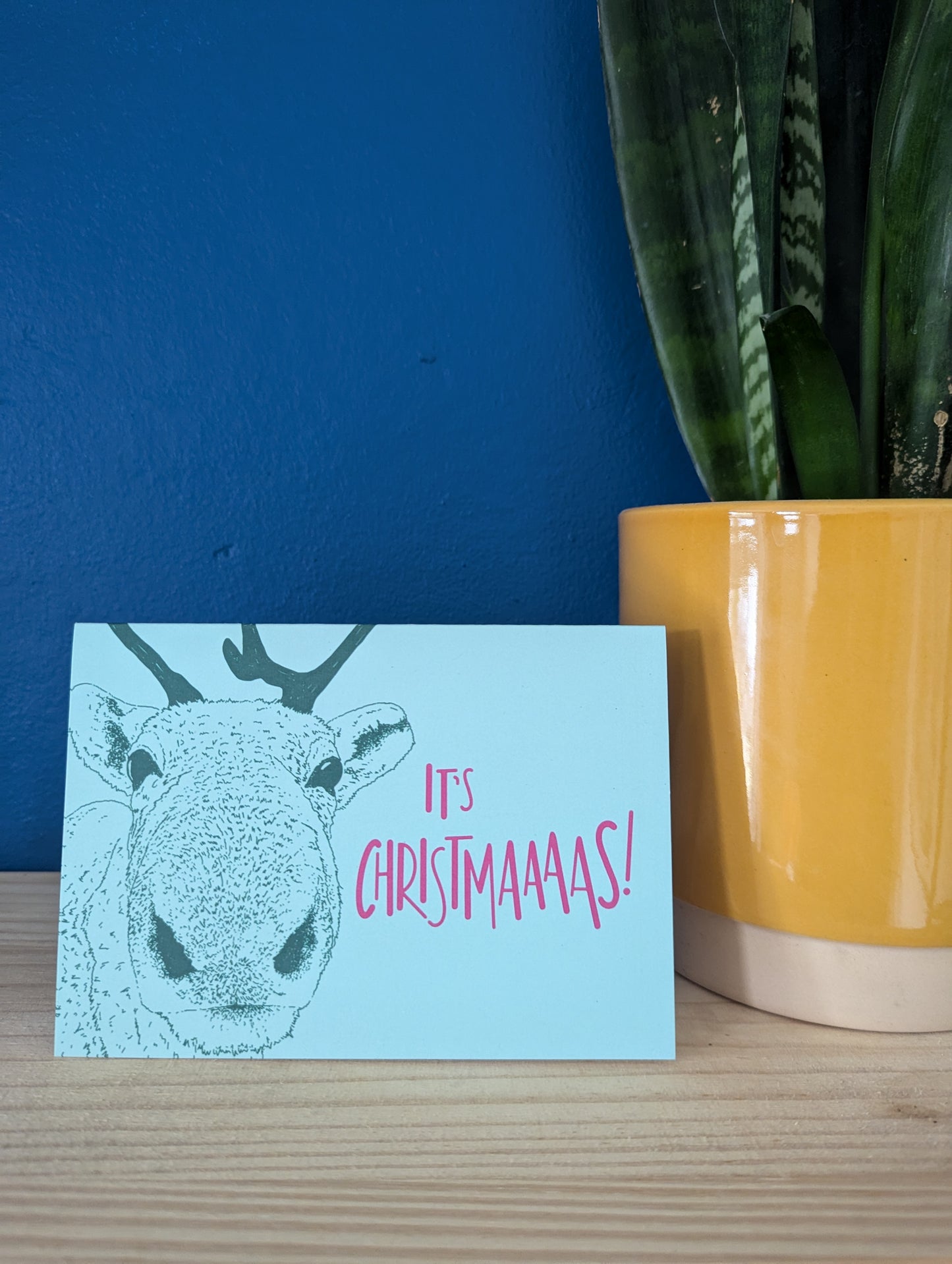 Merry Frickin Christmas cards (pack of 4) image 5