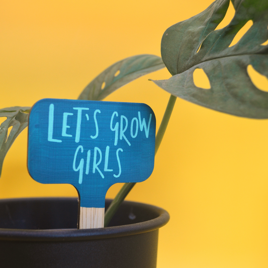 Plant with a blue sign that says 'LET'S GROW GIRLS' against a yellow background