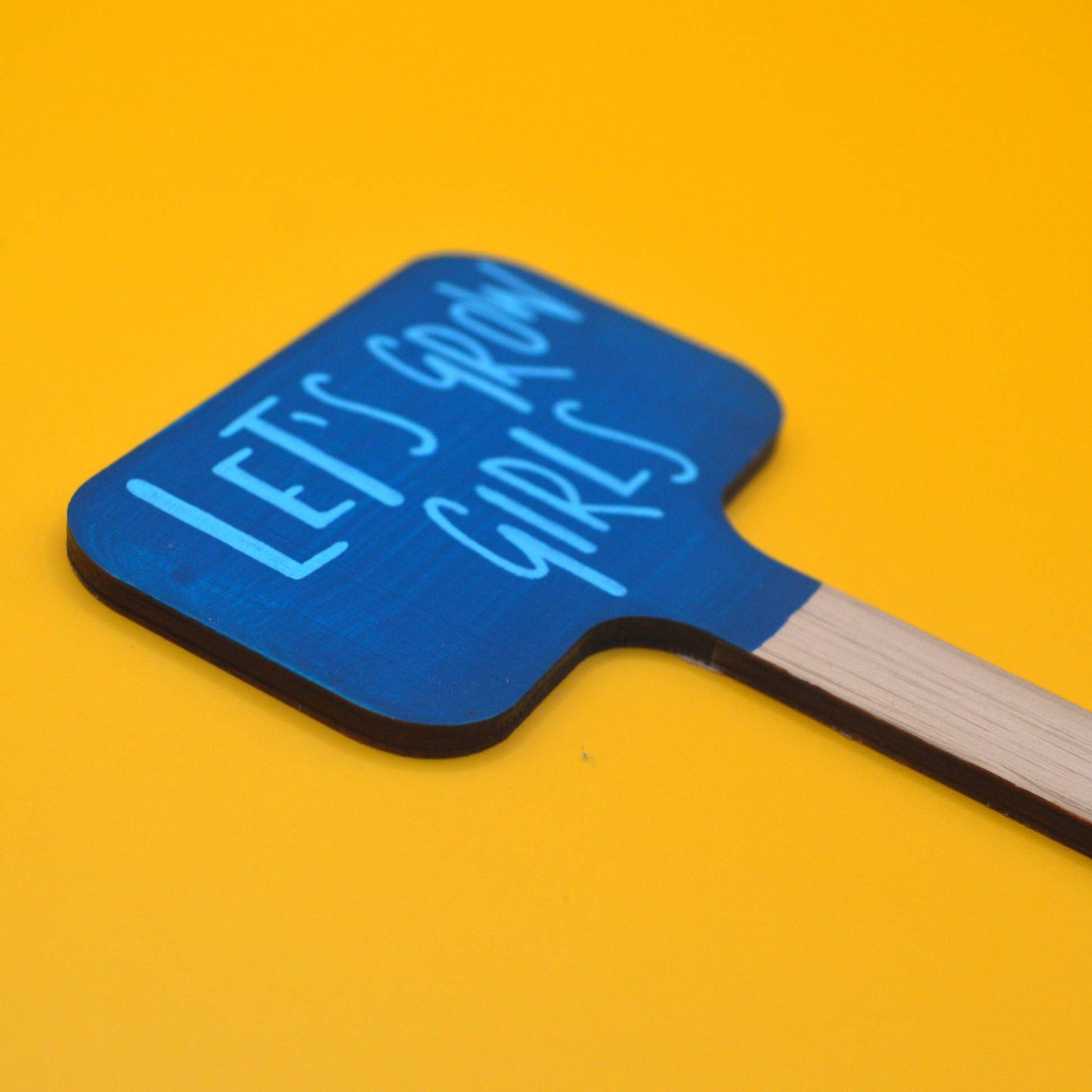 Teal wooden plant marker with 'LET'S GROW GIRLS' text on a yellow background