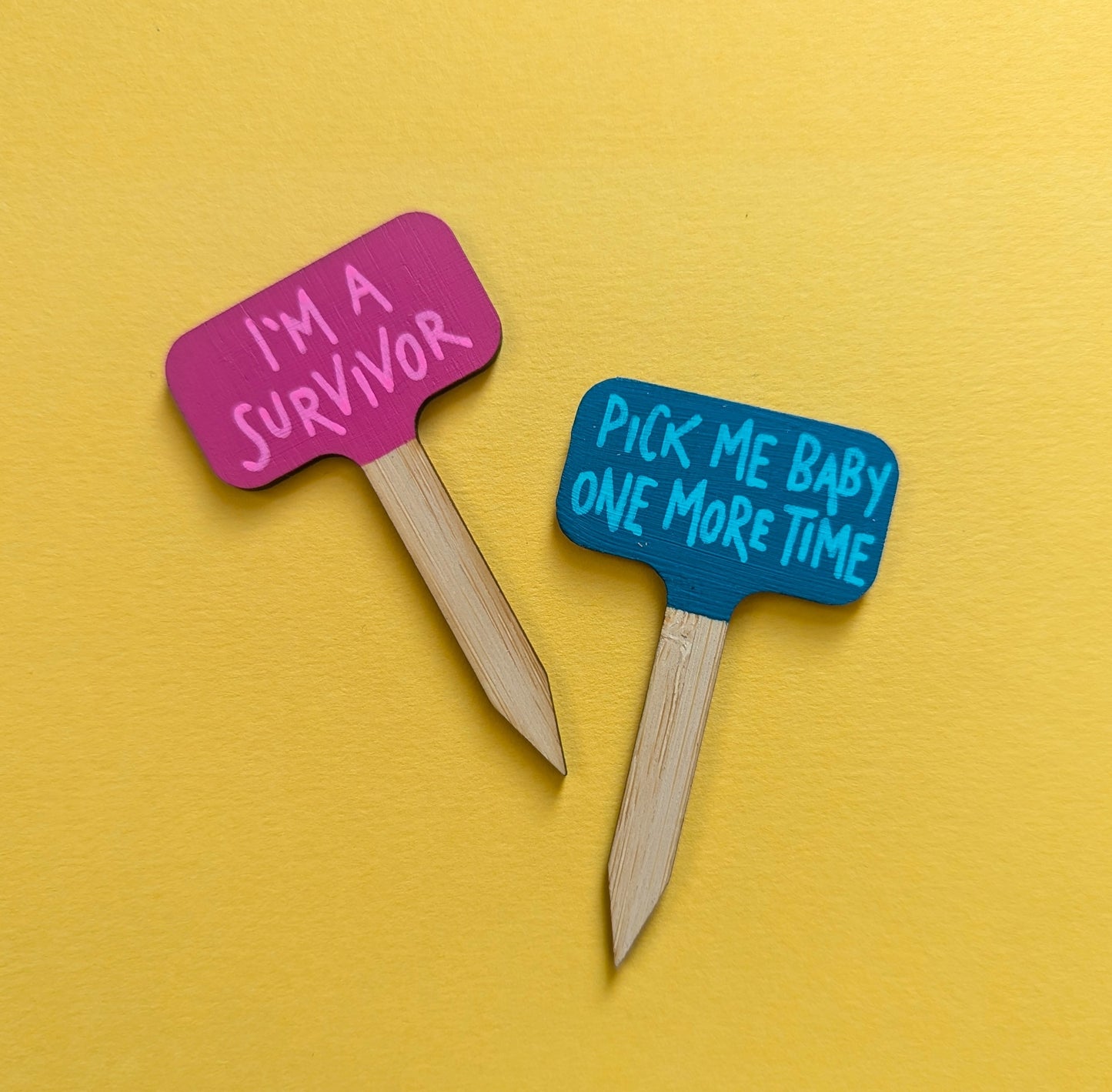 Small Hand Painted Plant Marker