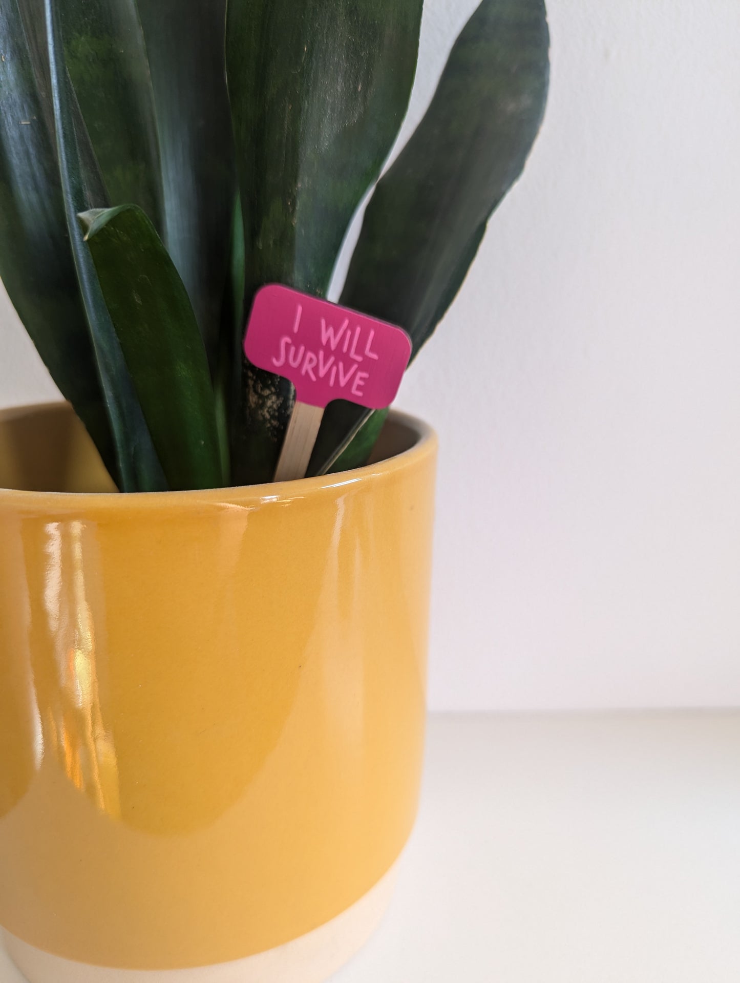 Small Hand Painted Plant Marker