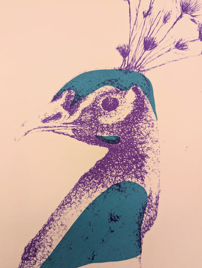 Mr Peacock A4 screen print *SAMPLE*