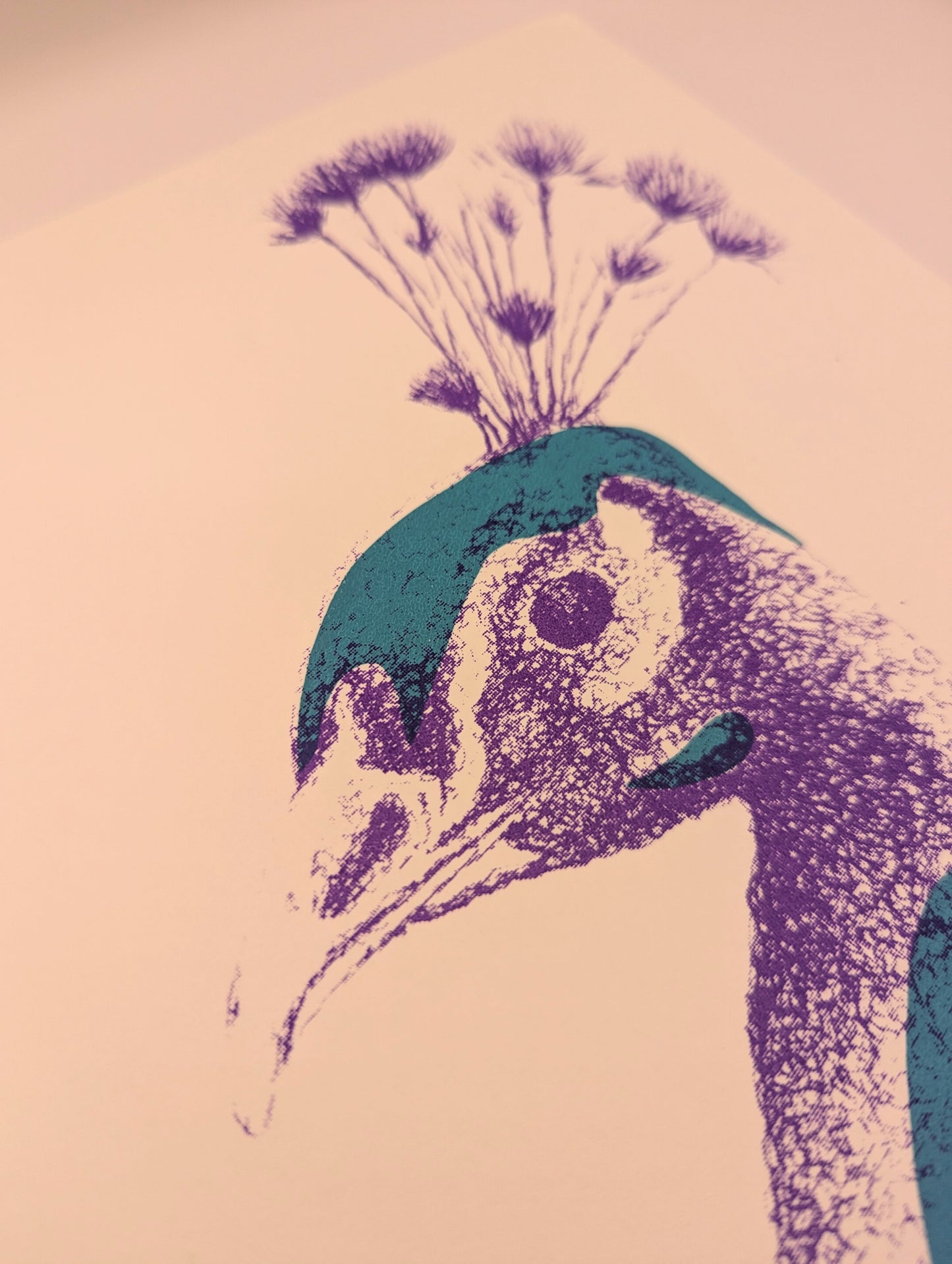 Mr Peacock A4 screen print *SAMPLE*