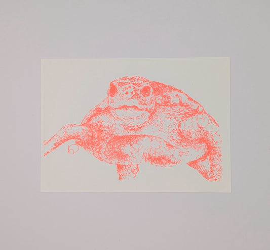 Coral Turtle A6 postcard screen print *SAMPLE*